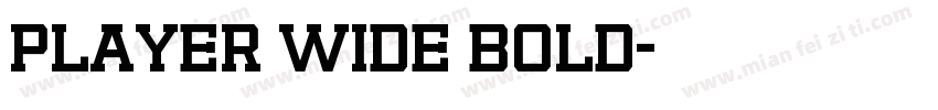 Player Wide Bold字体转换